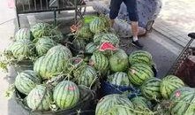 应城吃瓜最新事件爆料