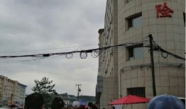 吉林市民爆料最新,惊现神秘事件，真相令人震惊！